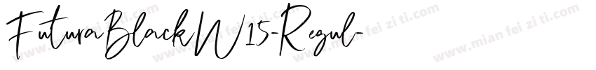 FuturaBlackW15-Regul字体转换