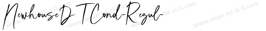 NewhouseDTCond-Regul字体转换