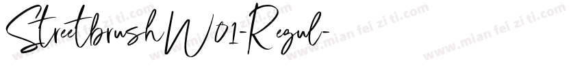 StreetbrushW01-Regul字体转换