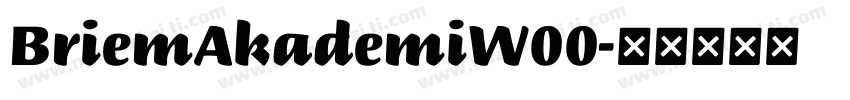 BriemAkademiW00字体转换