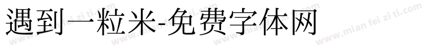 遇到一粒米字体转换