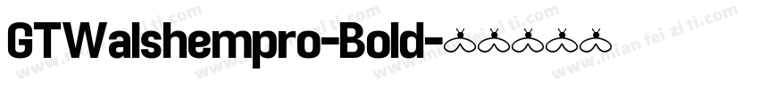 GTWalshempro-Bold字体转换