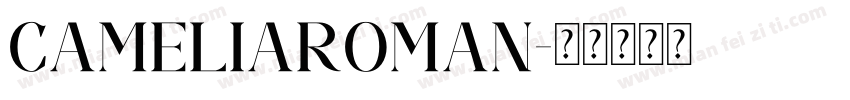 CameliaRoman字体转换