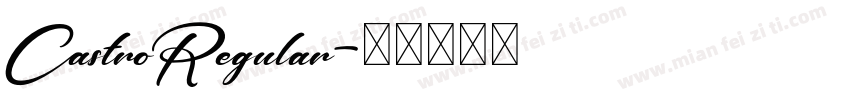 CastroRegular字体转换