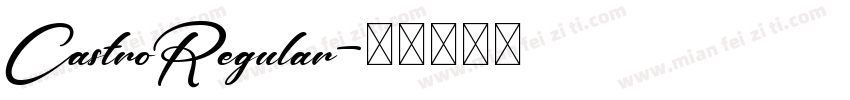 CastroRegular字体转换