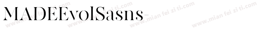 MADEEvolSasns字体转换