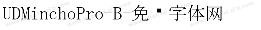 UDMinchoPro-B字体转换