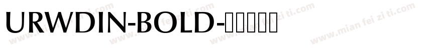 URWDIN-BOLD字体转换