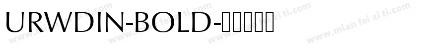 URWDIN-BOLD字体转换