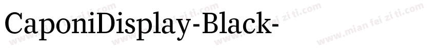 CaponiDisplay-Black字体转换