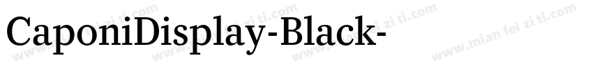CaponiDisplay-Black字体转换