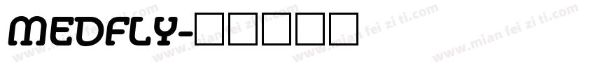 MEDFLY字体转换