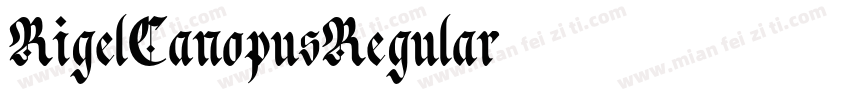 RigelCanopusRegular字体转换