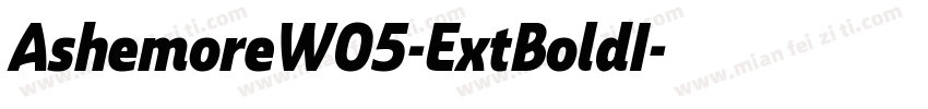 AshemoreW05-ExtBoldI字体转换