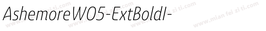 AshemoreW05-ExtBoldI字体转换