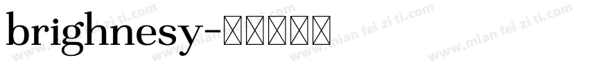 brighnesy字体转换