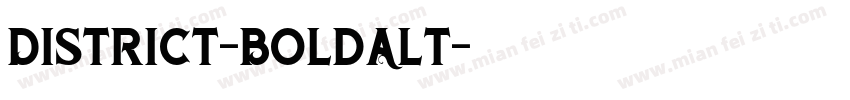 District-BoldAlt字体转换