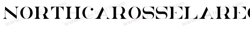NorthCarosselaRegular字体转换