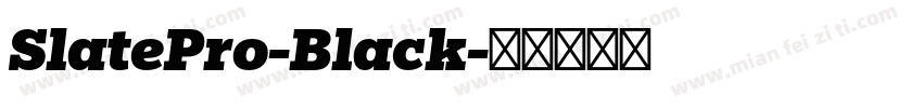 SlatePro-Black字体转换