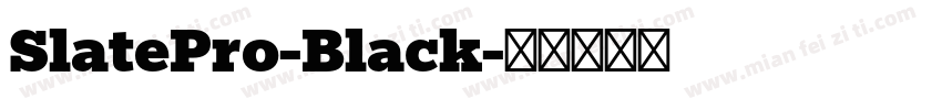 SlatePro-Black字体转换