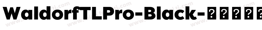 WaldorfTLPro-Black字体转换