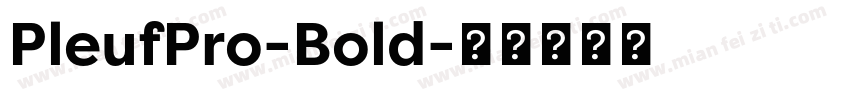 PleufPro-Bold字体转换