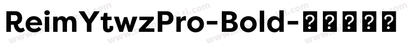ReimYtwzPro-Bold字体转换