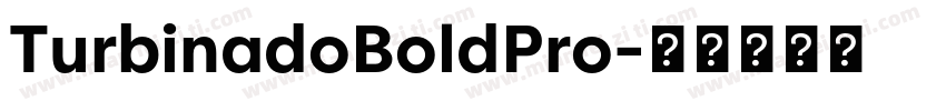 TurbinadoBoldPro字体转换