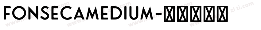 FonsecaMedium字体转换