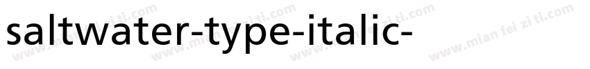 saltwater-type-italic字体转换