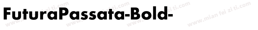 FuturaPassata-Bold字体转换