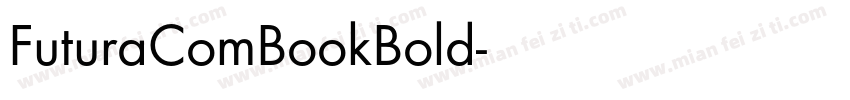 FuturaComBookBold字体转换