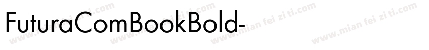 FuturaComBookBold字体转换