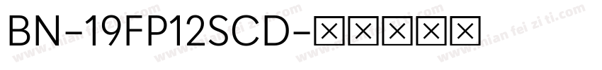 BN-19FP12SCD字体转换