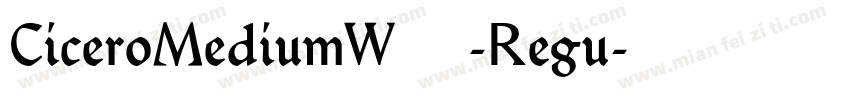 CiceroMediumW05-Regu字体转换