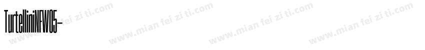 TurtelliniNFW05字体转换
