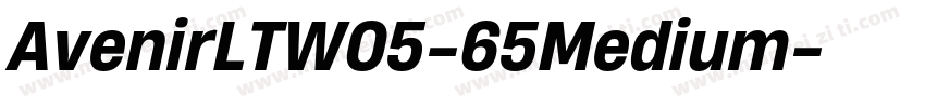 AvenirLTW05-65Medium字体转换