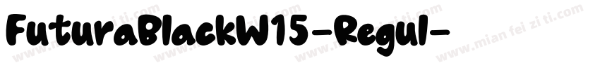 FuturaBlackW15-Regul字体转换