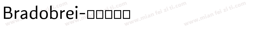Bradobrei字体转换