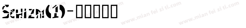 Schizm(1)字体转换