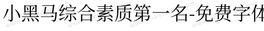 小黑马综合素质第一名字体转换