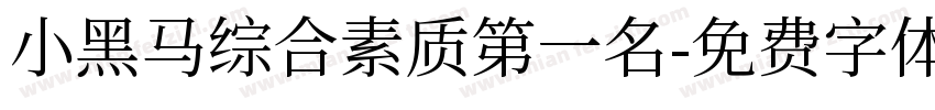 小黑马综合素质第一名字体转换