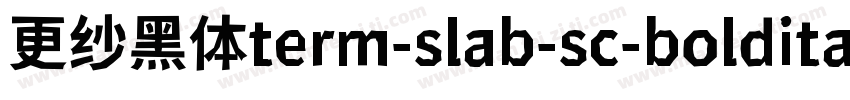 更纱黑体term-slab-sc-bolditalic手机版字体转换