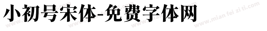 小初号宋体字体转换