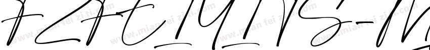 FZFEIYITS字体转换
