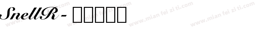 SnellR字体转换