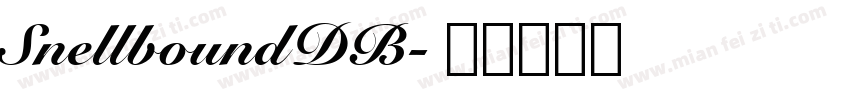 SnellboundDB字体转换