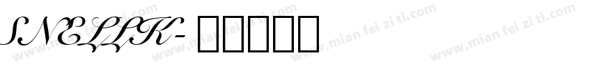 SNELLK字体转换