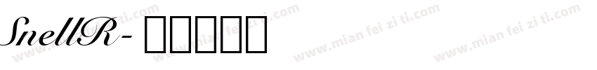 SnellR字体转换