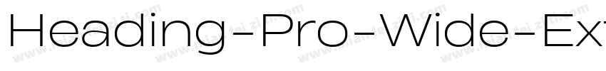 Heading-Pro-Wide-ExtraBold-Italic-t字体转换